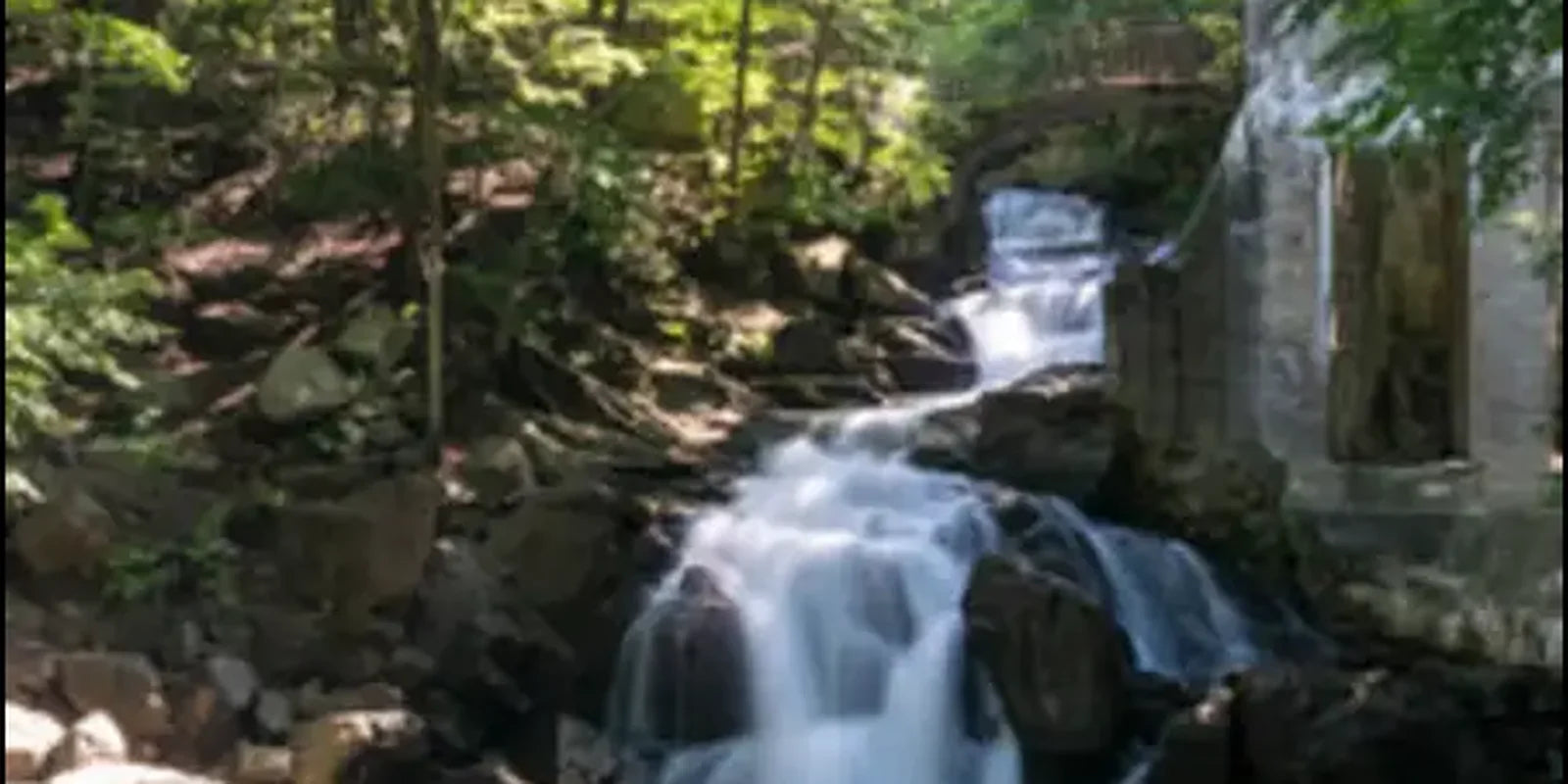 cascade en forêt, ambiance apaisante pour bien-être à la maison.