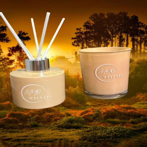 Lot de 2 Coffret senteur fruité