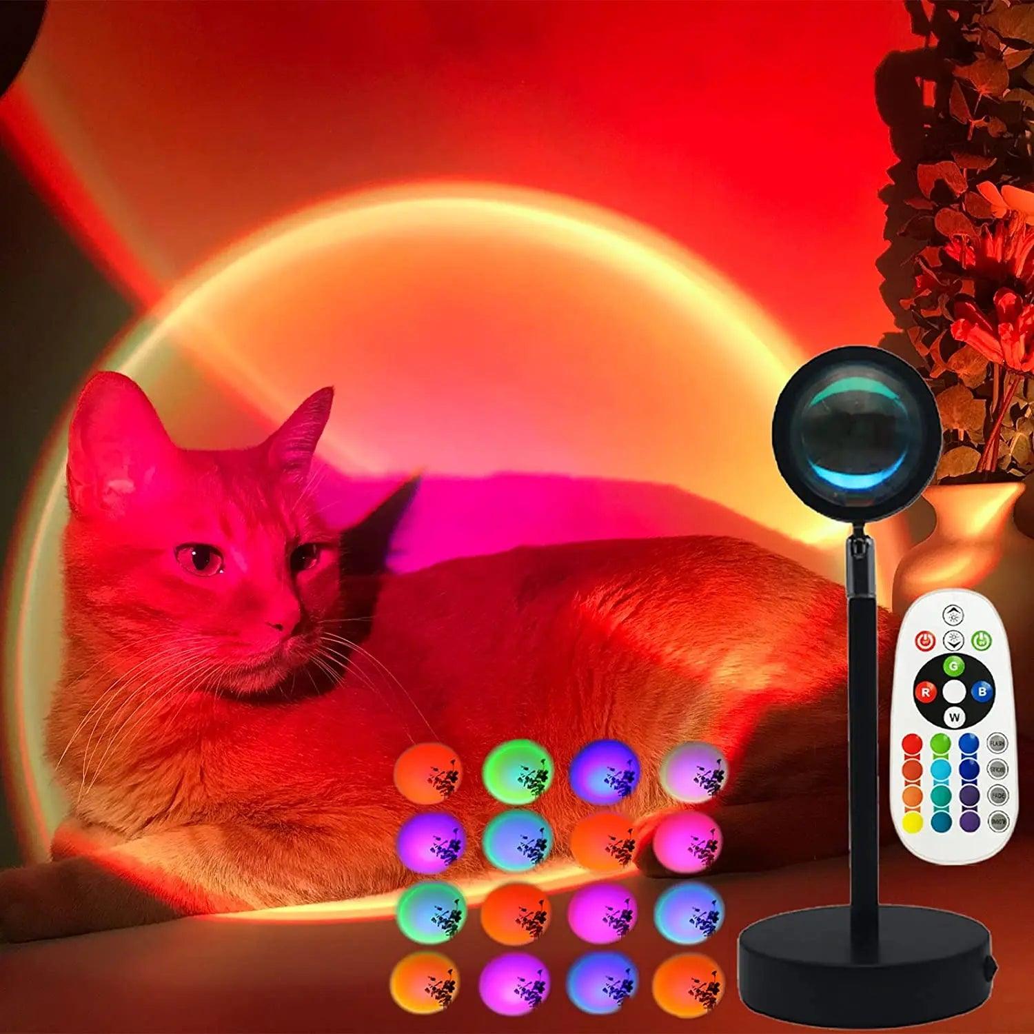 Lampe multicolore avec télécommande pour salon, bureau et chambre